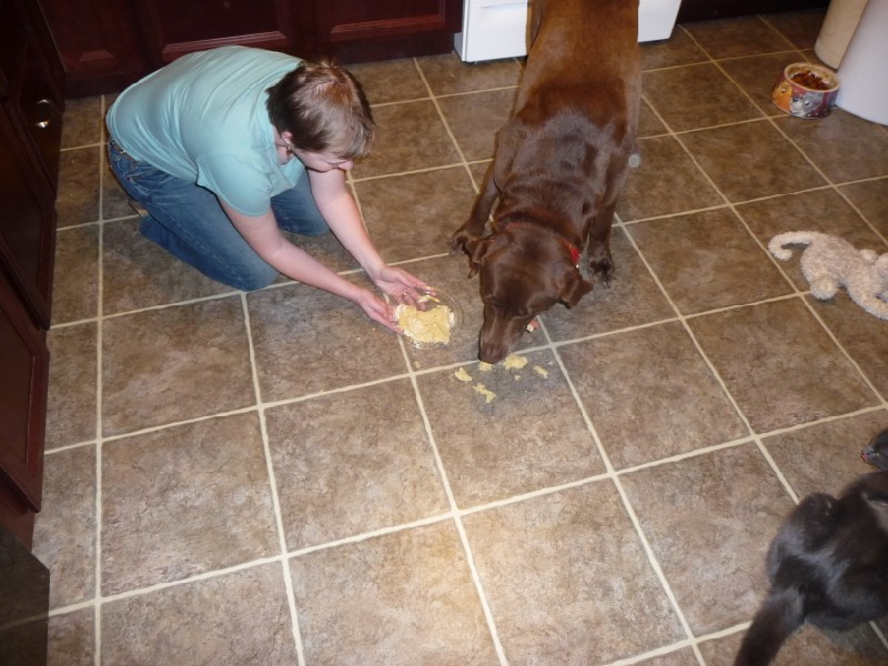 Katie eating cake (2).JPG